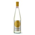 Falanghina Benevento IGP Frizzante